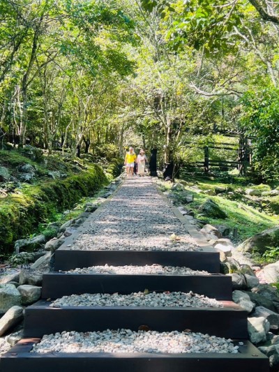 八仙山國家森林遊樂區老少咸宜的森林步道